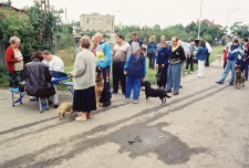 2001 - akcja szczepienia psów