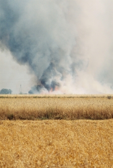 2002 - pożar zboża