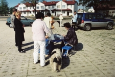 2003 - ul. Targowa - szczepienie psów