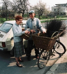 1994 - obwoźna sprzedaż wikliny