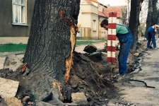 1995 - ul. Poniatowskiego - remont nawierzchni, wymiana krawężników