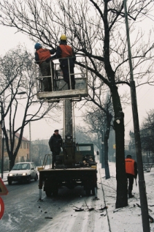 1996 - ul. Kościuszki - ścinka drzew