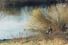 2000 - tereny nad rzeką Wartą